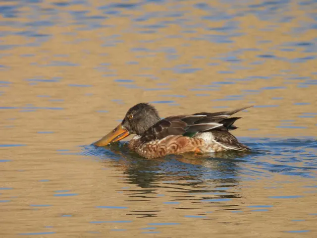 Species Image