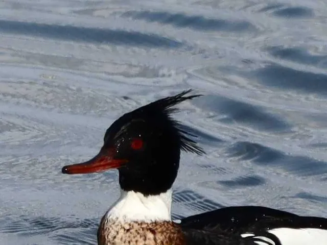 Species Image