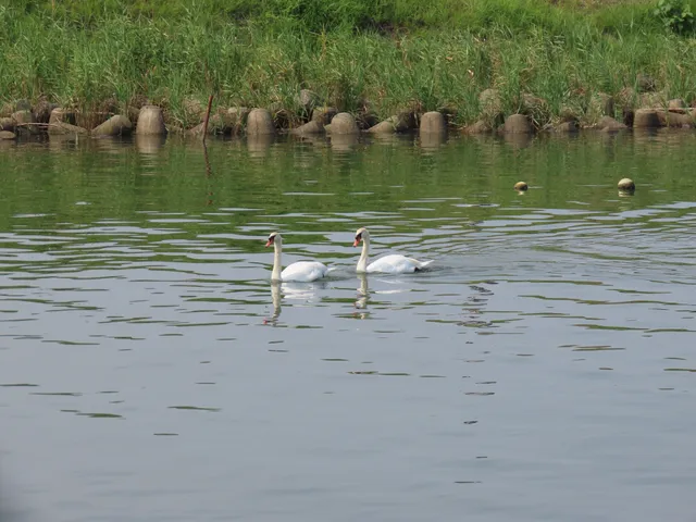 Species Image