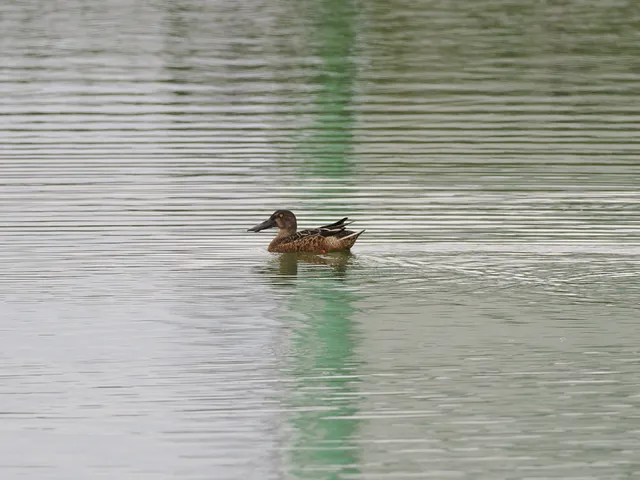 Species Image