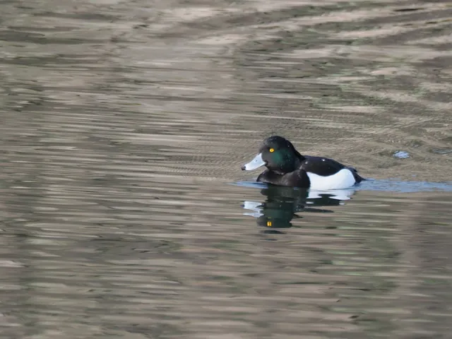 Species Image