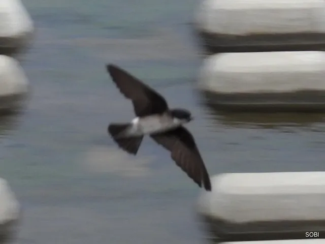 Species Image