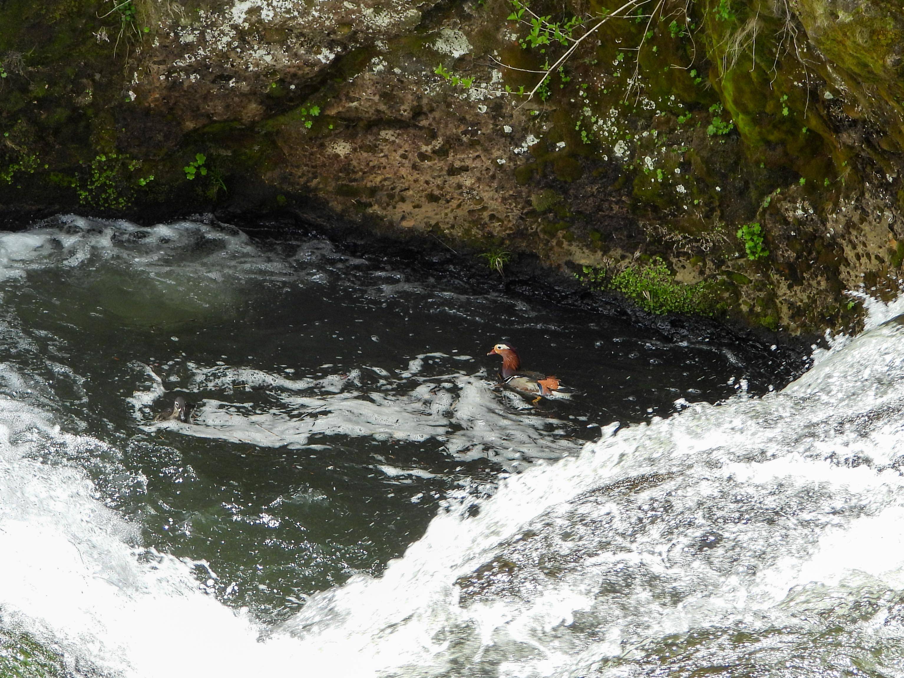 Photo Image