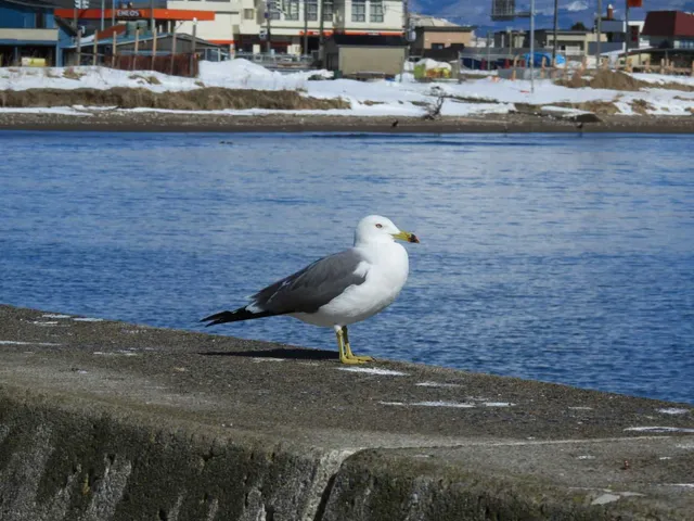 Species Image