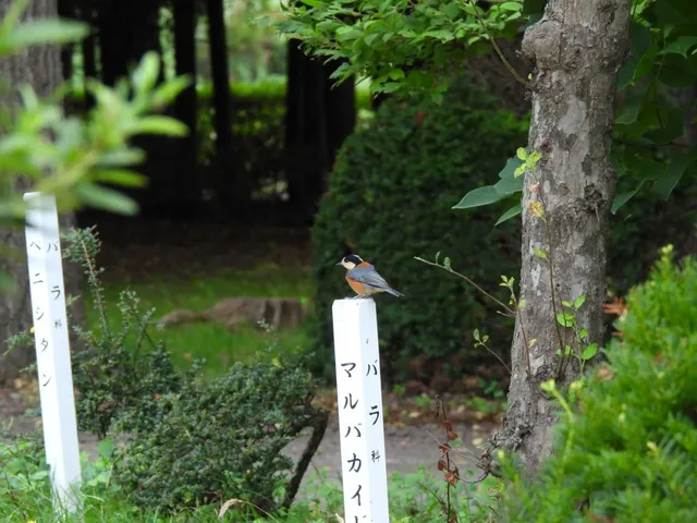 Species Image
