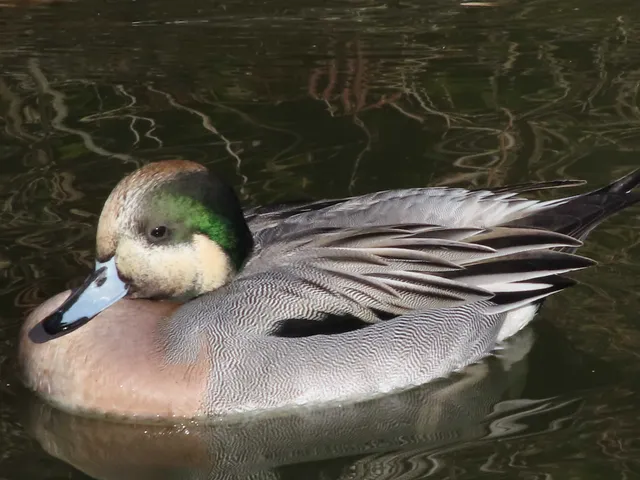 Species Image