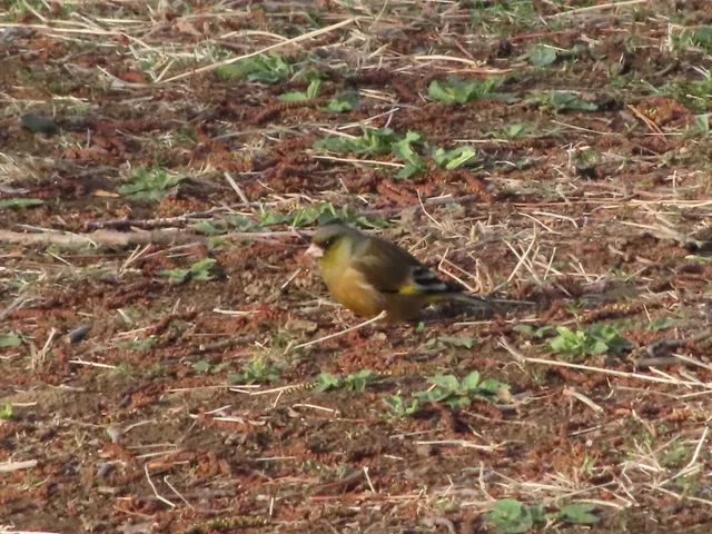 Species Image