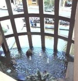 Atrium I — Galeria Foto 8