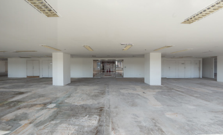 Brasílio Machado Neto — Galeria Foto 9