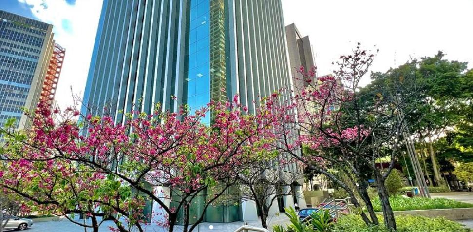 (CEMG) Centro Empresarial Mario Garnero - TORRE SUL — Galeria Foto 6