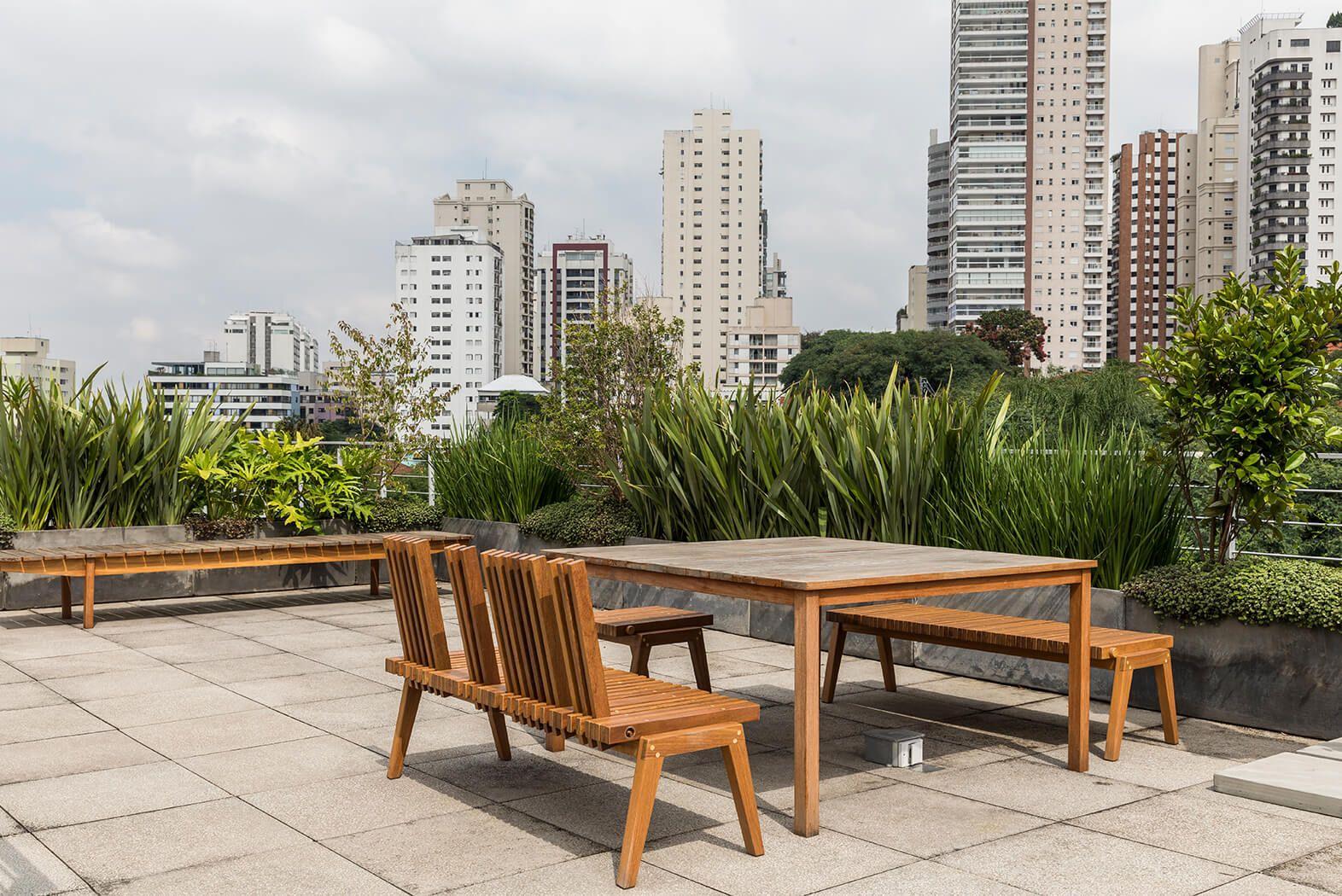 Corujas — Galeria Foto 12