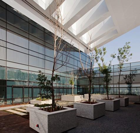 Eco Berrini — Galeria Foto 14