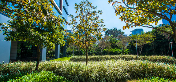 F.L. Corporate — Galeria Foto 6