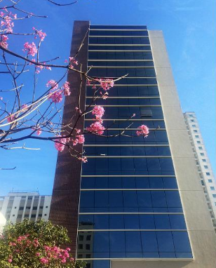 New Office Augusta — Galeria Foto 3
