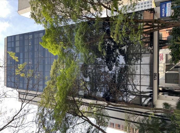 Quilombo — Galeria Foto 3