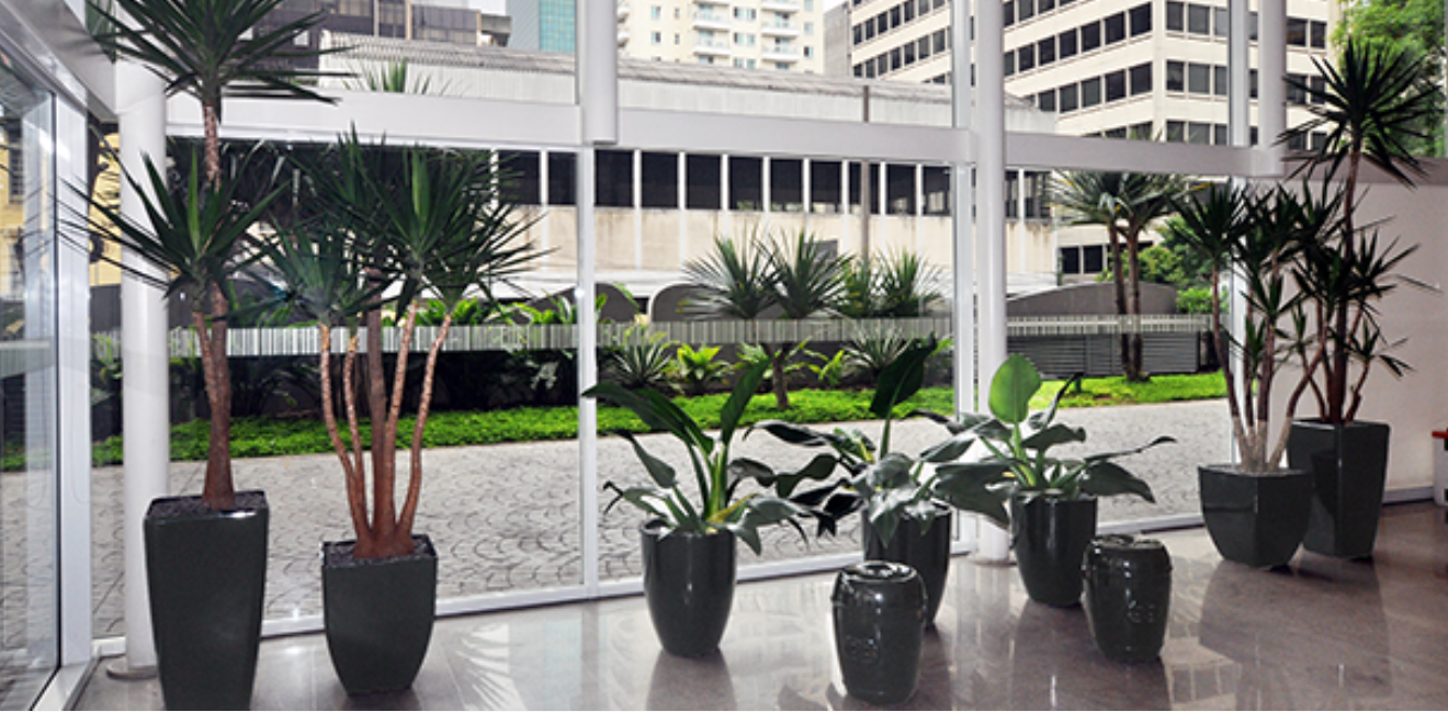 Santa Catarina — Galeria Foto 7