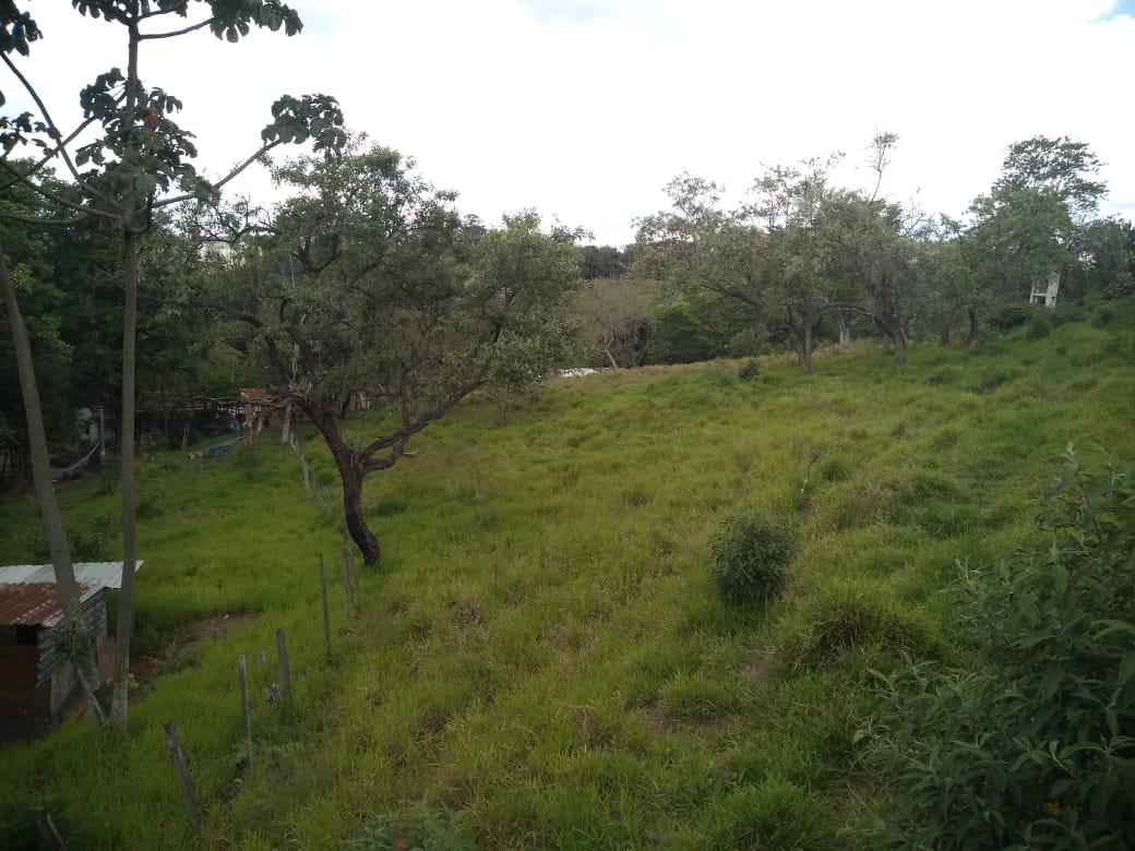 TERRENO EM BARUERI/SP - 34.000 M² — Galeria Foto 6