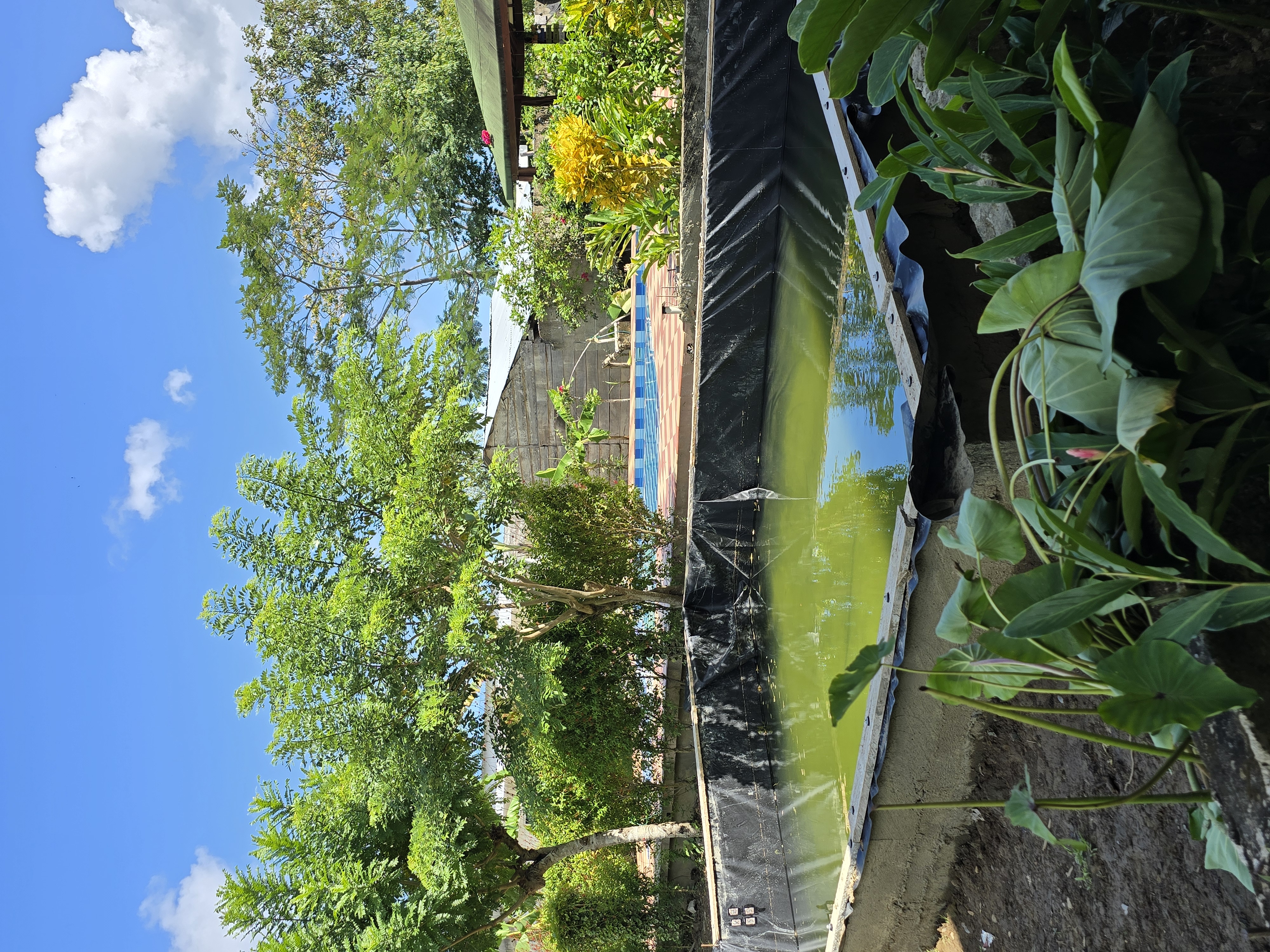 Experiencias Únicas en Yalakú Lodge