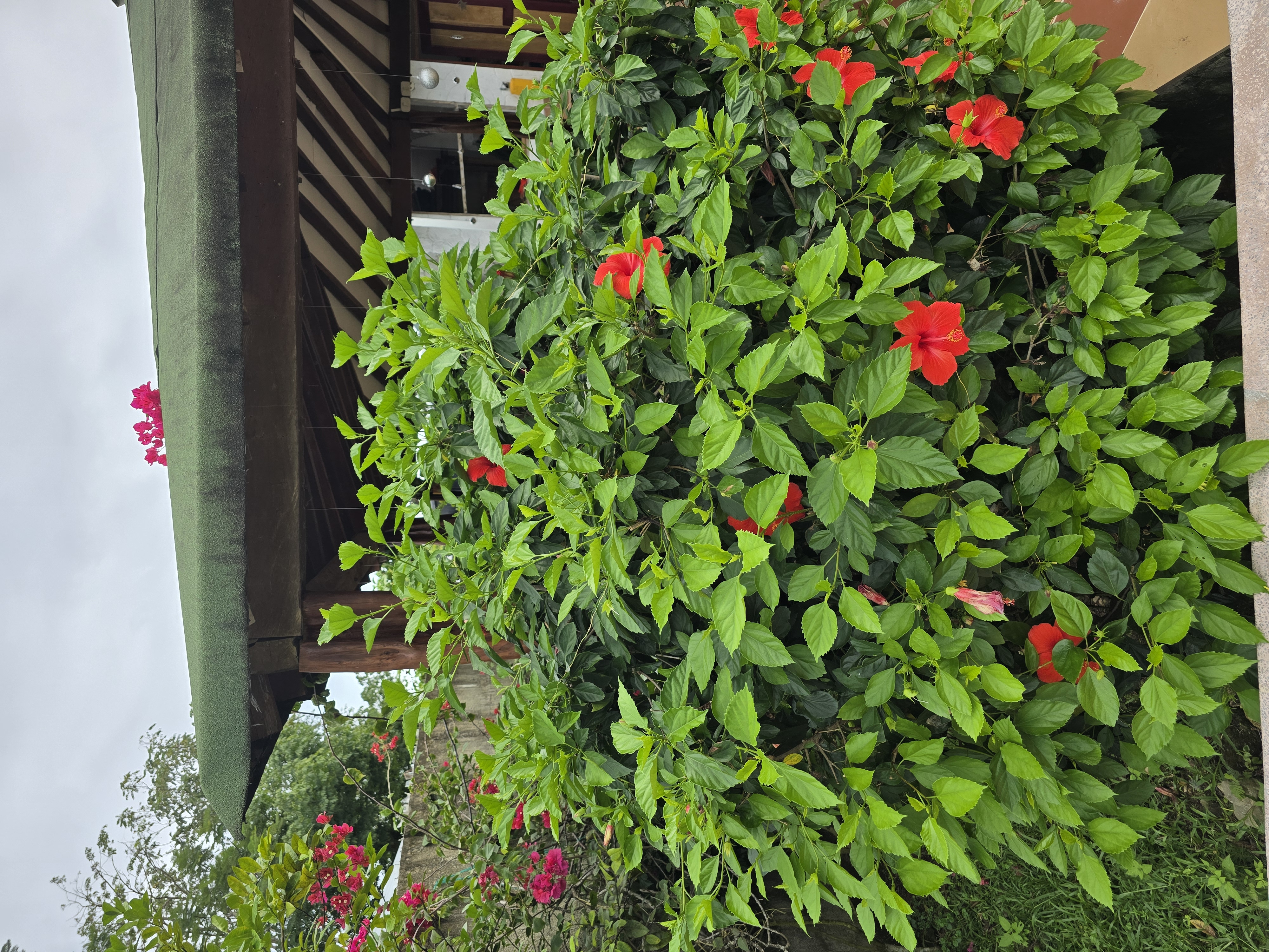 Experiencias banner 5