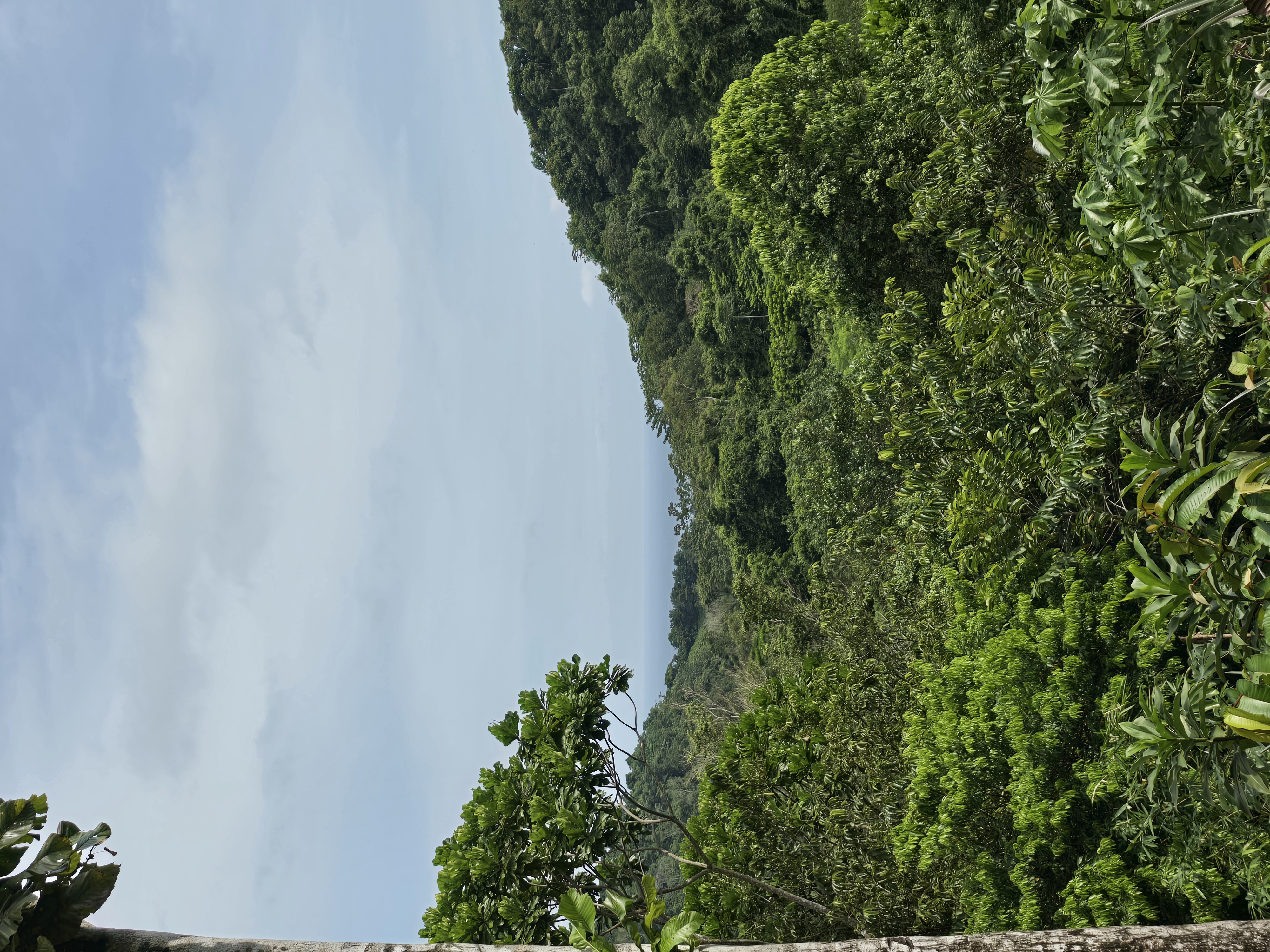 Naturaleza Capurganá 4