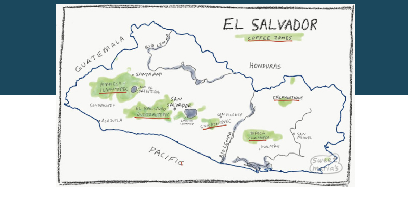 《咖啡產地介紹》薩爾瓦多EL SALVADOR