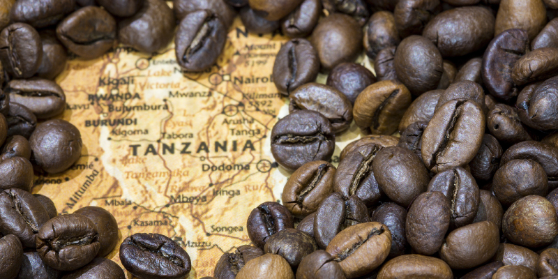 《咖啡產地介紹》坦尚尼亞 TANZANIA
