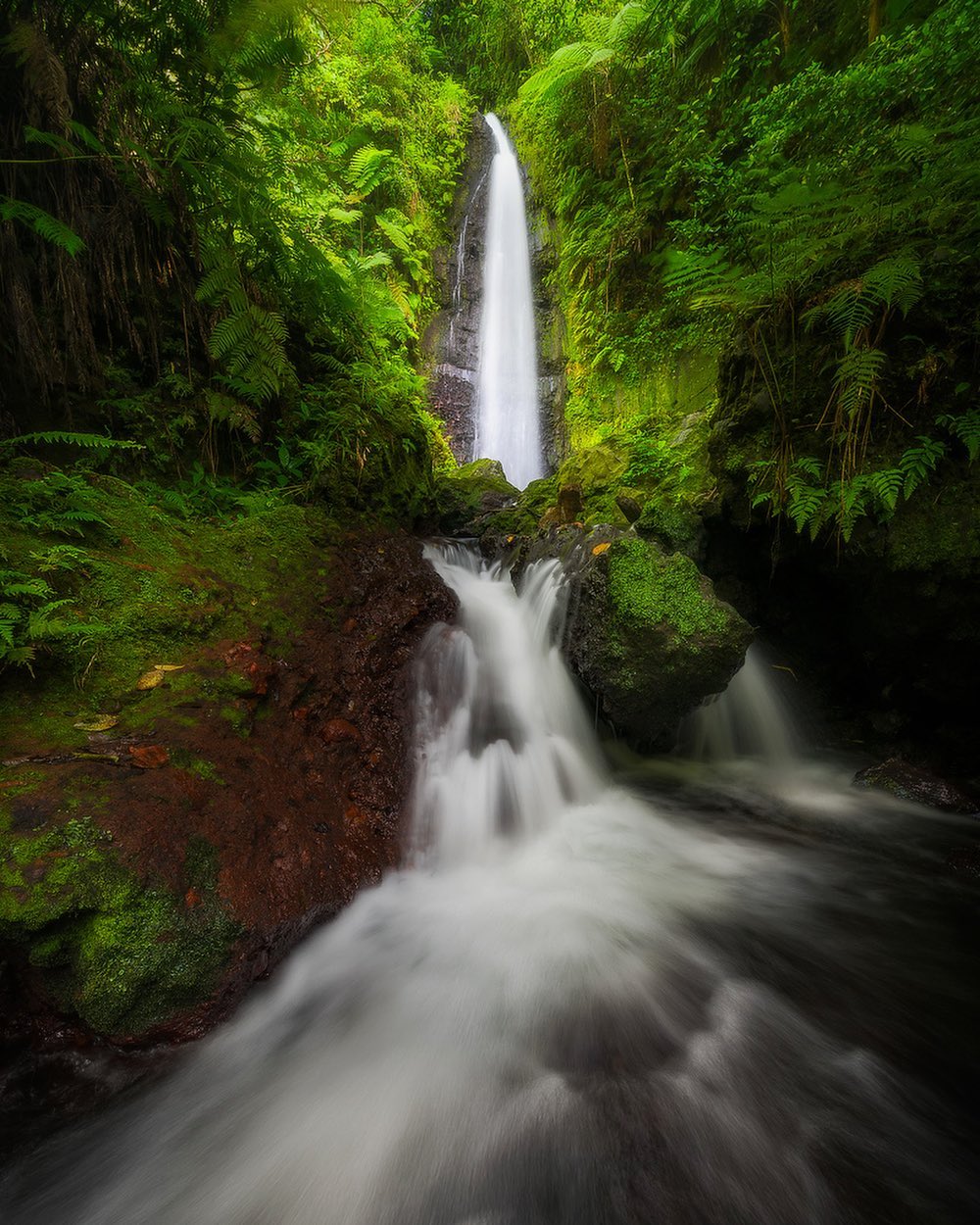 Louniel Waterfall & Beach Escape