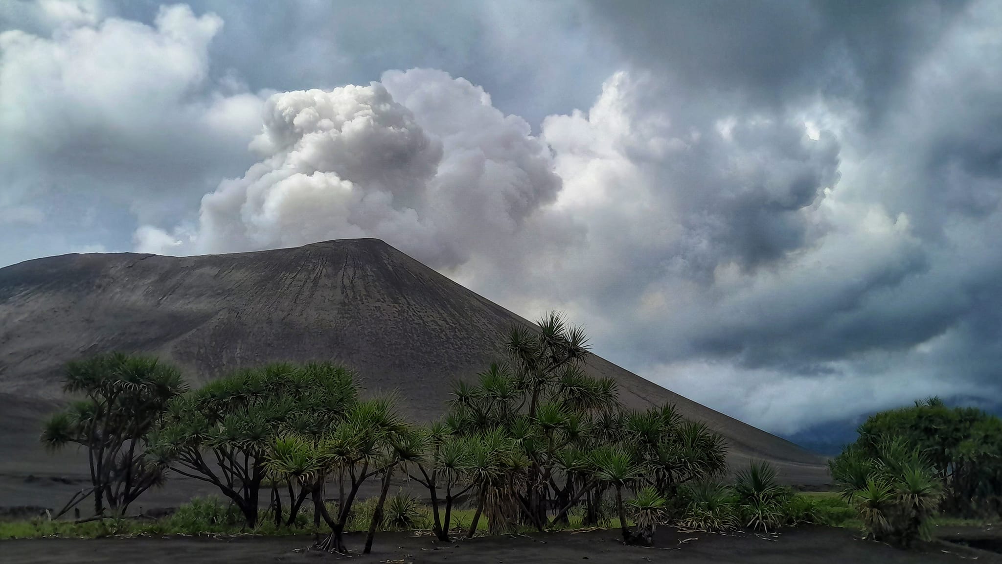 Entani, your local guide on Tanna