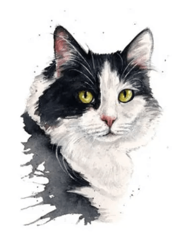 Mancha de Gato image