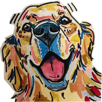 Golden Retriever Farbzeichnung image