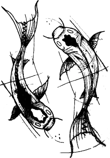 Piscis 6 image