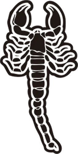 Escorpio 5 image
