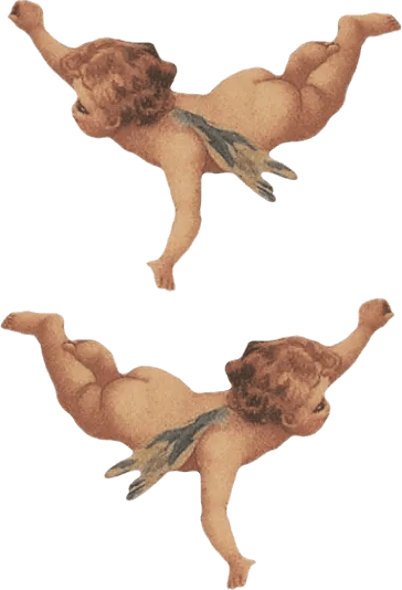 Engelsflügel image