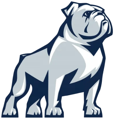 Perro Bravo image