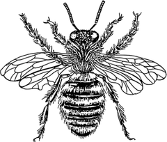 Tatuaje Abeja Detalle thumb 0