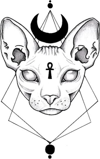 Gato egipcio image