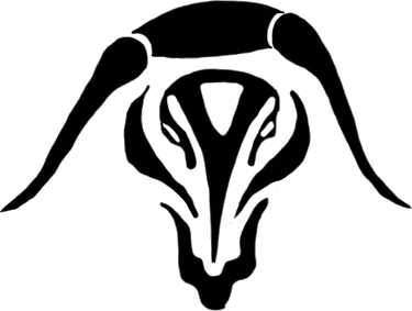 4 of Taurus image