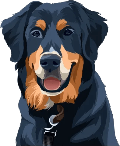 Rottweiler image
