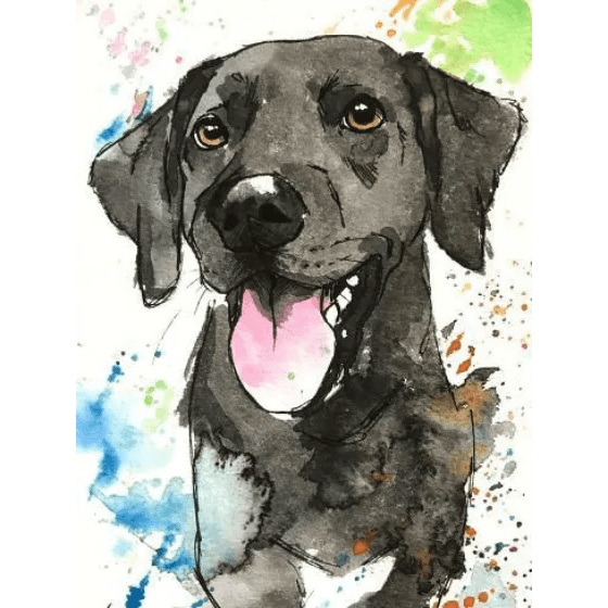 Watercolor colorful dog image