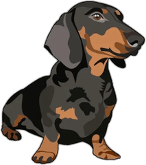 Perro salchicha – Tatuajes temporales de animales