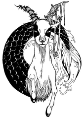   Capricornio 3