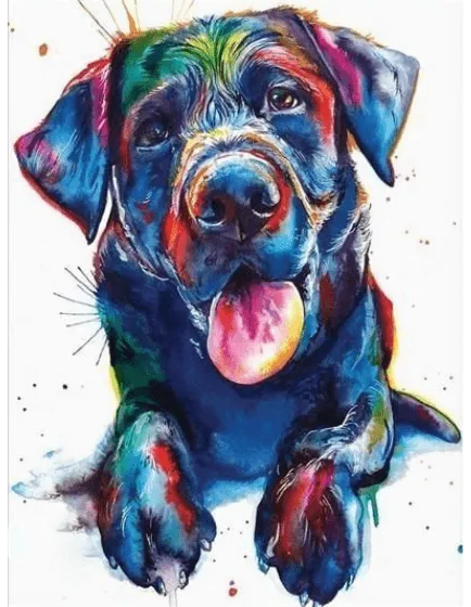 Colored dog image