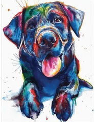 Colored dog