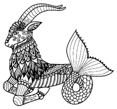 Capricorn 2