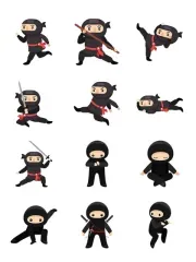 Ninja Set