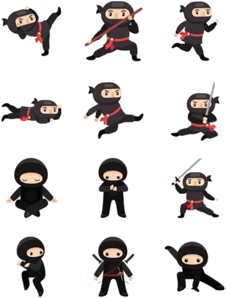 Set Ninja image