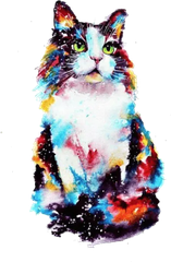 Gato de colores acuarela – Tatuajes temporales de animales