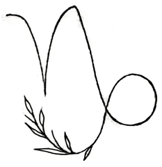 Capricórnio 7