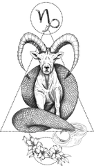 Capricornio 4 – Tatuajes temporales del zodiaco