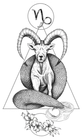 Capricorn 4 image